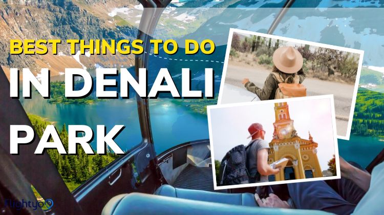 Best Things to do in Denali National Park